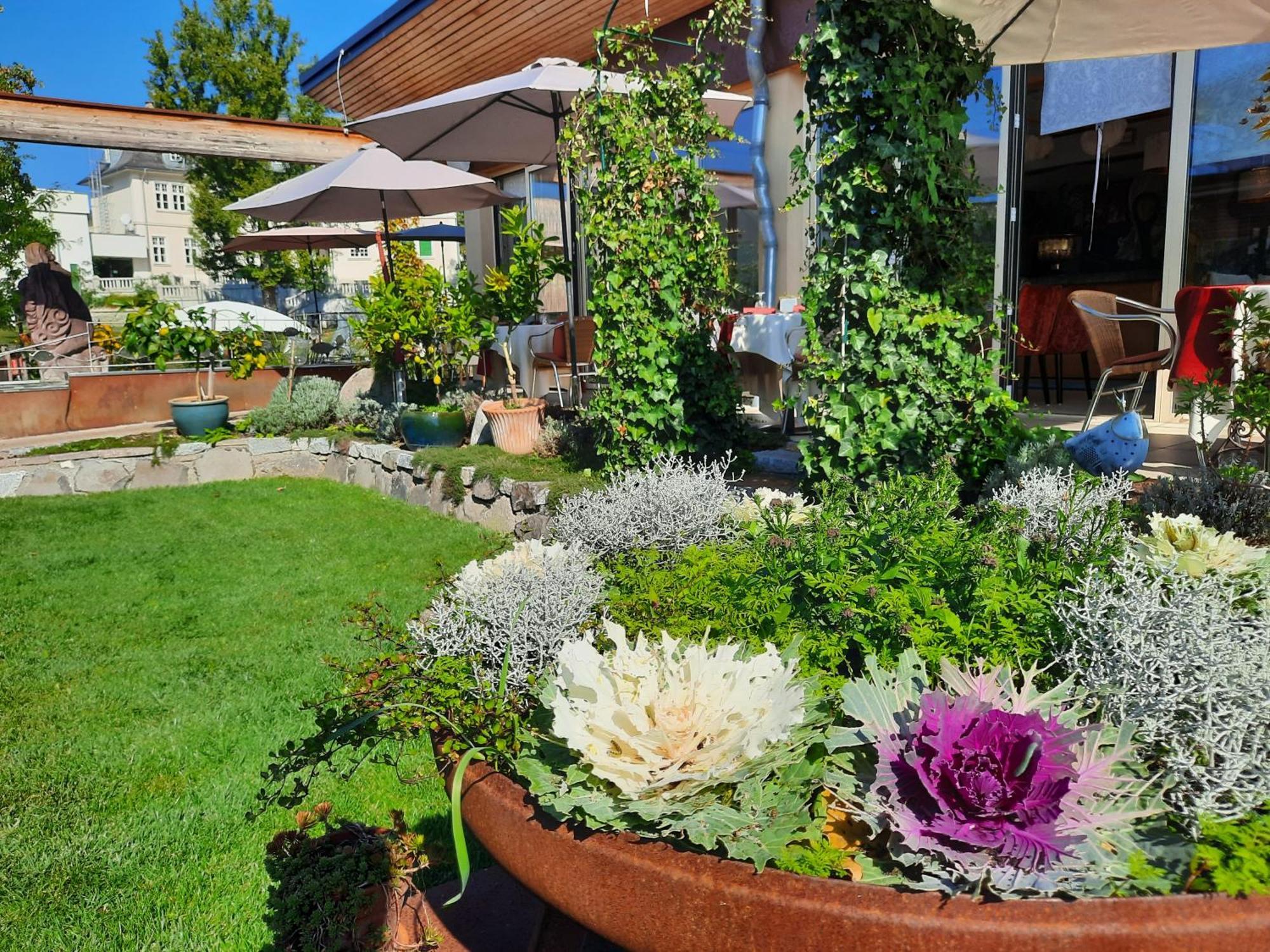 Malerwinkl Restaurant + Kunsthotel Hatzendorf Exteriér fotografie